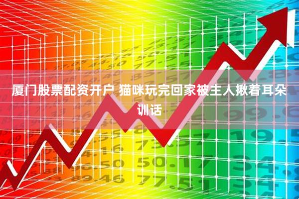 厦门股票配资开户 猫咪玩完回家被主人揪着耳朵训话
